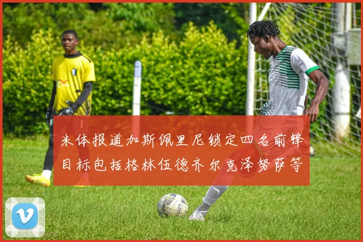 米体报道加斯佩里尼锁定四名前锋目标包括格林伍德齐尔克泽努萨等人