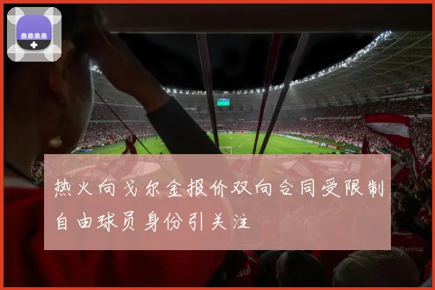 热火向戈尔金报价双向合同受限制自由球员身份引关注